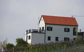 Kellerstöckl Eisenberg/Pinka Weiner
